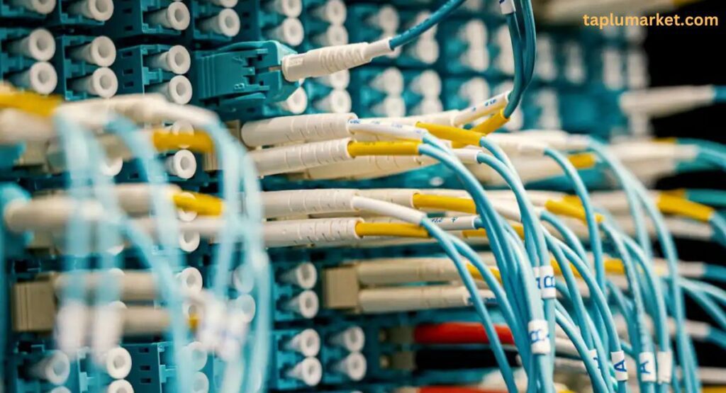 Tejas Networks Share Price Target 2025