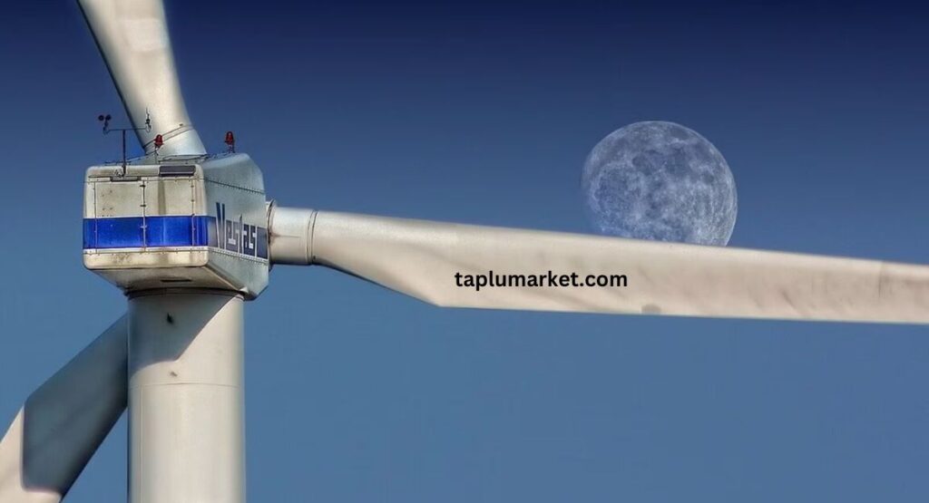 Inox Wind Share Price Target 2025-2030