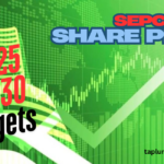 SEPC Share Price Target 2024, 2025, Up to 2030