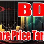 BDL Share Price Target 2025 BDL Share Price Target
