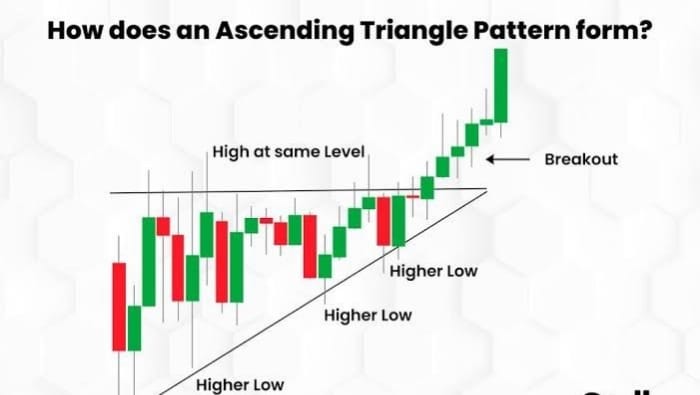 How to read Candlestick Pattern for Forex Beginners