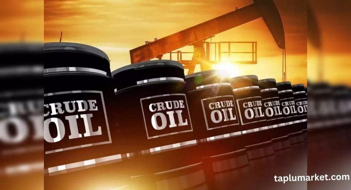 Crude Oil Price Target 2025