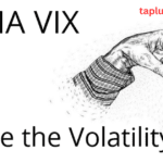 How to Track India VIX with Maximum Accuracy How to Track India VIX with Maximum Accuracy